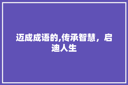 迈成成语的,传承智慧，启迪人生