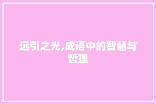 远引之光,成语中的智慧与哲理