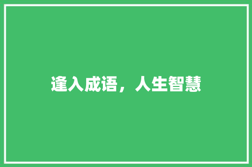 逢入成语，人生智慧
