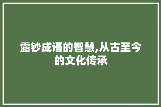 露钞成语的智慧,从古至今的文化传承