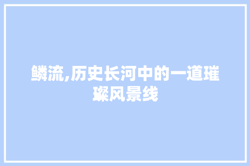 鳞流,历史长河中的一道璀璨风景线