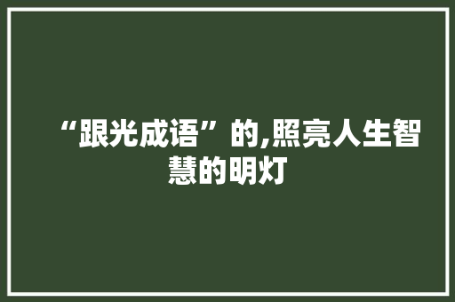 “跟光成语”的,照亮人生智慧的明灯