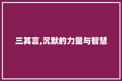 三其言,沉默的力量与智慧