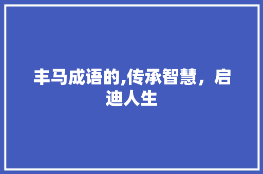 丰马成语的,传承智慧，启迪人生