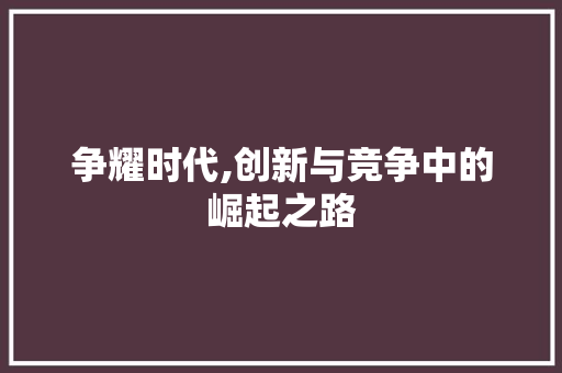 争耀时代,创新与竞争中的崛起之路