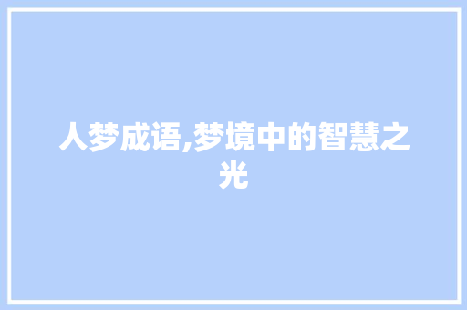 人梦成语,梦境中的智慧之光