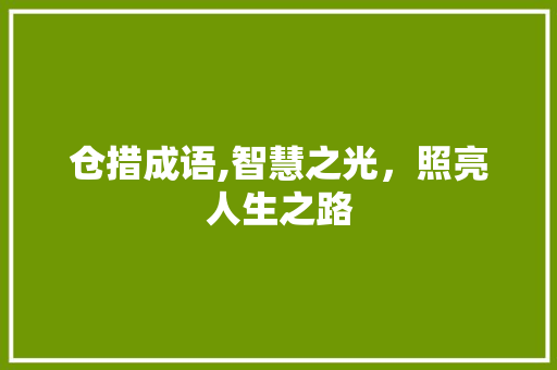 仓措成语,智慧之光，照亮人生之路