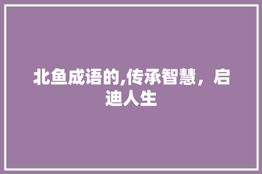 北鱼成语的,传承智慧，启迪人生