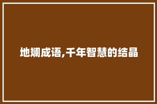 地斓成语,千年智慧的结晶