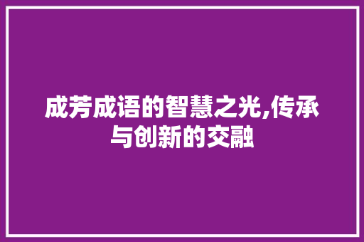 成芳成语的智慧之光,传承与创新的交融