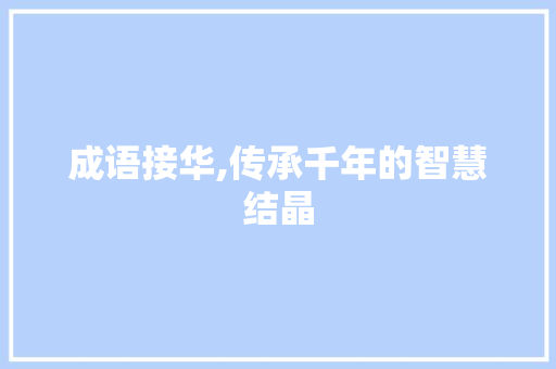 成语接华,传承千年的智慧结晶