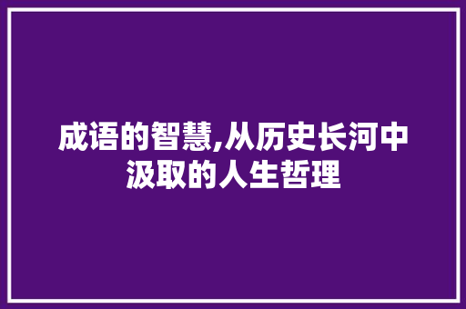 成语的智慧,从历史长河中汲取的人生哲理
