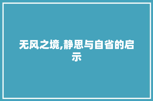无风之境,静思与自省的启示