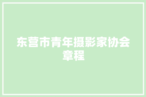 船舶安全应急计划,构建水上安全防线，守护生命之舟