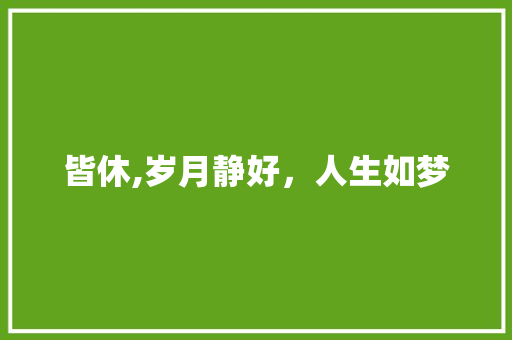 皆休,岁月静好，人生如梦
