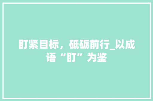 盯紧目标，砥砺前行_以成语“盯”为鉴