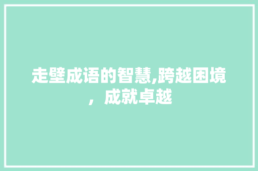 走壁成语的智慧,跨越困境，成就卓越 成语大全