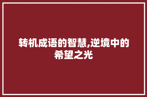 转机成语的智慧,逆境中的希望之光