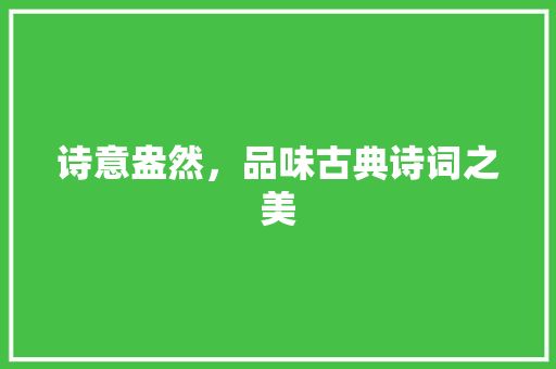 诗意盎然，品味古典诗词之美