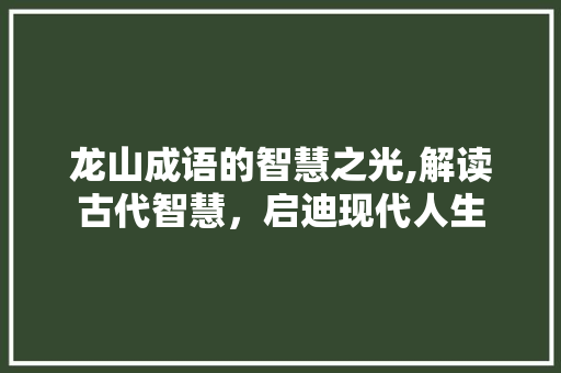 龙山成语的智慧之光,解读古代智慧，启迪现代人生