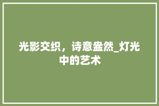 光影交织，诗意盎然_灯光中的艺术