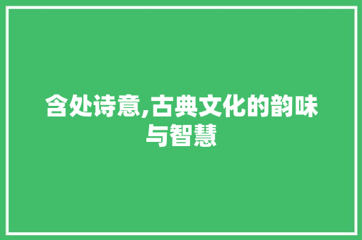含处诗意,古典文化的韵味与智慧