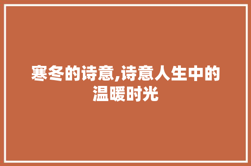 寒冬的诗意,诗意人生中的温暖时光