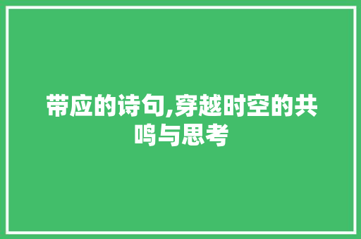 带应的诗句,穿越时空的共鸣与思考