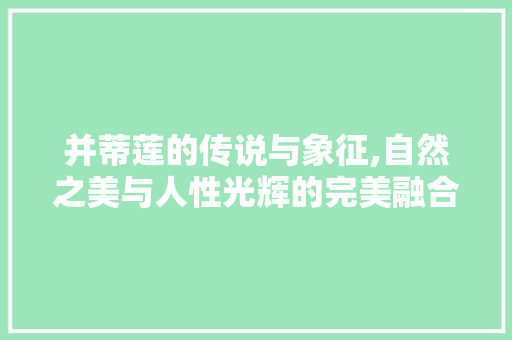 并蒂莲的传说与象征,自然之美与人性光辉的完美融合