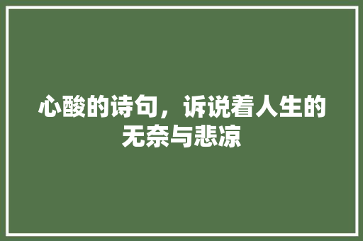 心酸的诗句，诉说着人生的无奈与悲凉