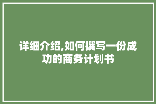 详细介绍,如何撰写一份成功的商务计划书