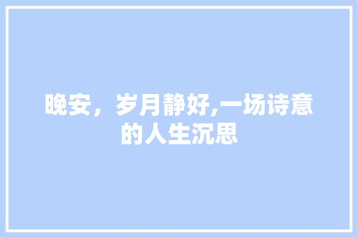 晚安，岁月静好,一场诗意的人生沉思