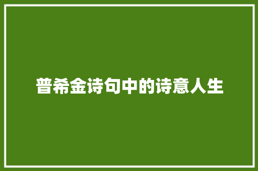普希金诗句中的诗意人生