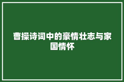 曹操诗词中的豪情壮志与家国情怀