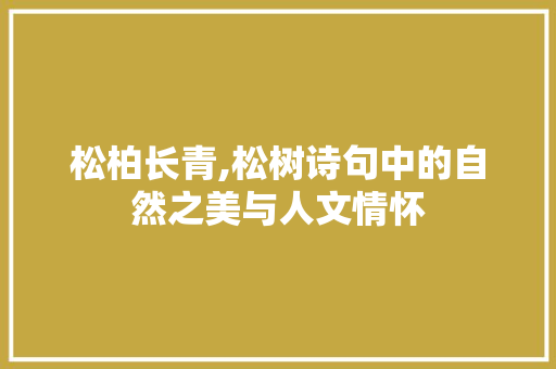 松柏长青,松树诗句中的自然之美与人文情怀