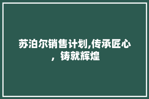 苏泊尔销售计划,传承匠心，铸就辉煌