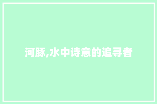 河豚,水中诗意的追寻者