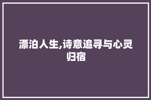 漂泊人生,诗意追寻与心灵归宿