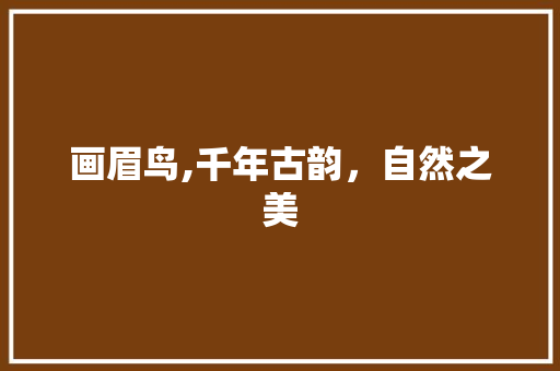 画眉鸟,千年古韵，自然之美