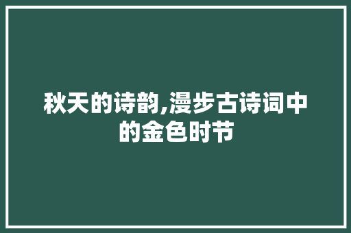 秋天的诗韵,漫步古诗词中的金色时节