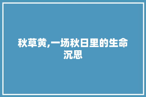 秋草黄,一场秋日里的生命沉思