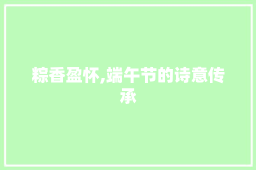 粽香盈怀,端午节的诗意传承