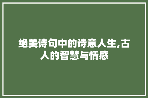 绝美诗句中的诗意人生,古人的智慧与情感