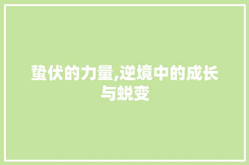蛰伏的力量,逆境中的成长与蜕变