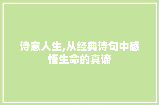 诗意人生,从经典诗句中感悟生命的真谛