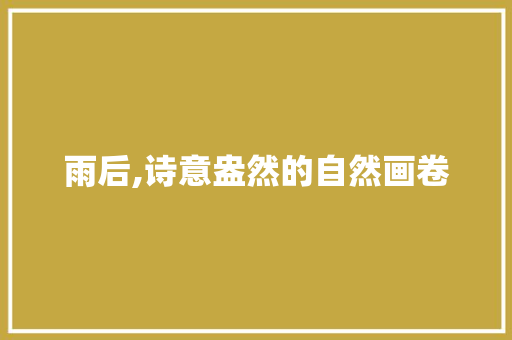 雨后,诗意盎然的自然画卷 工作计划