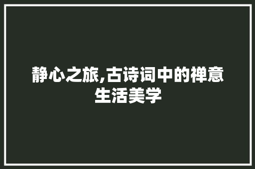 静心之旅,古诗词中的禅意生活美学