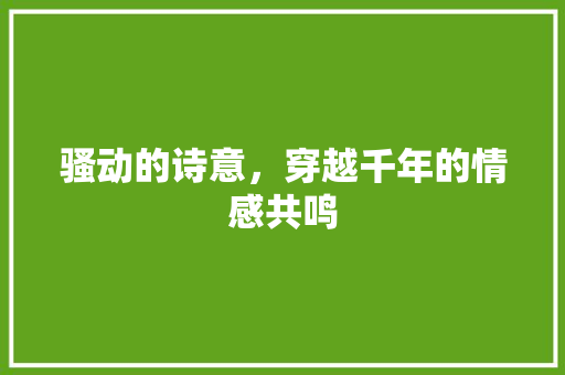 骚动的诗意，穿越千年的情感共鸣