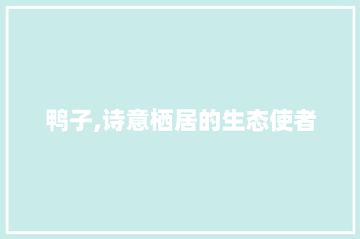 鸭子,诗意栖居的生态使者