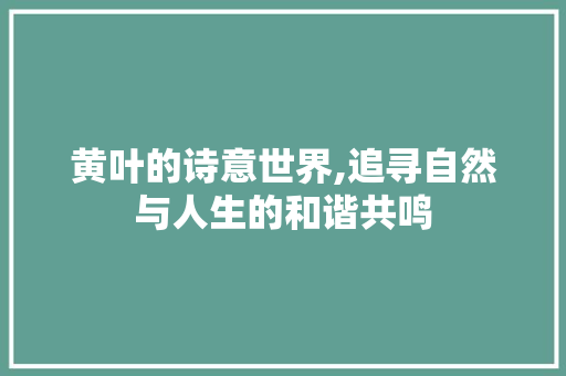 黄叶的诗意世界,追寻自然与人生的和谐共鸣